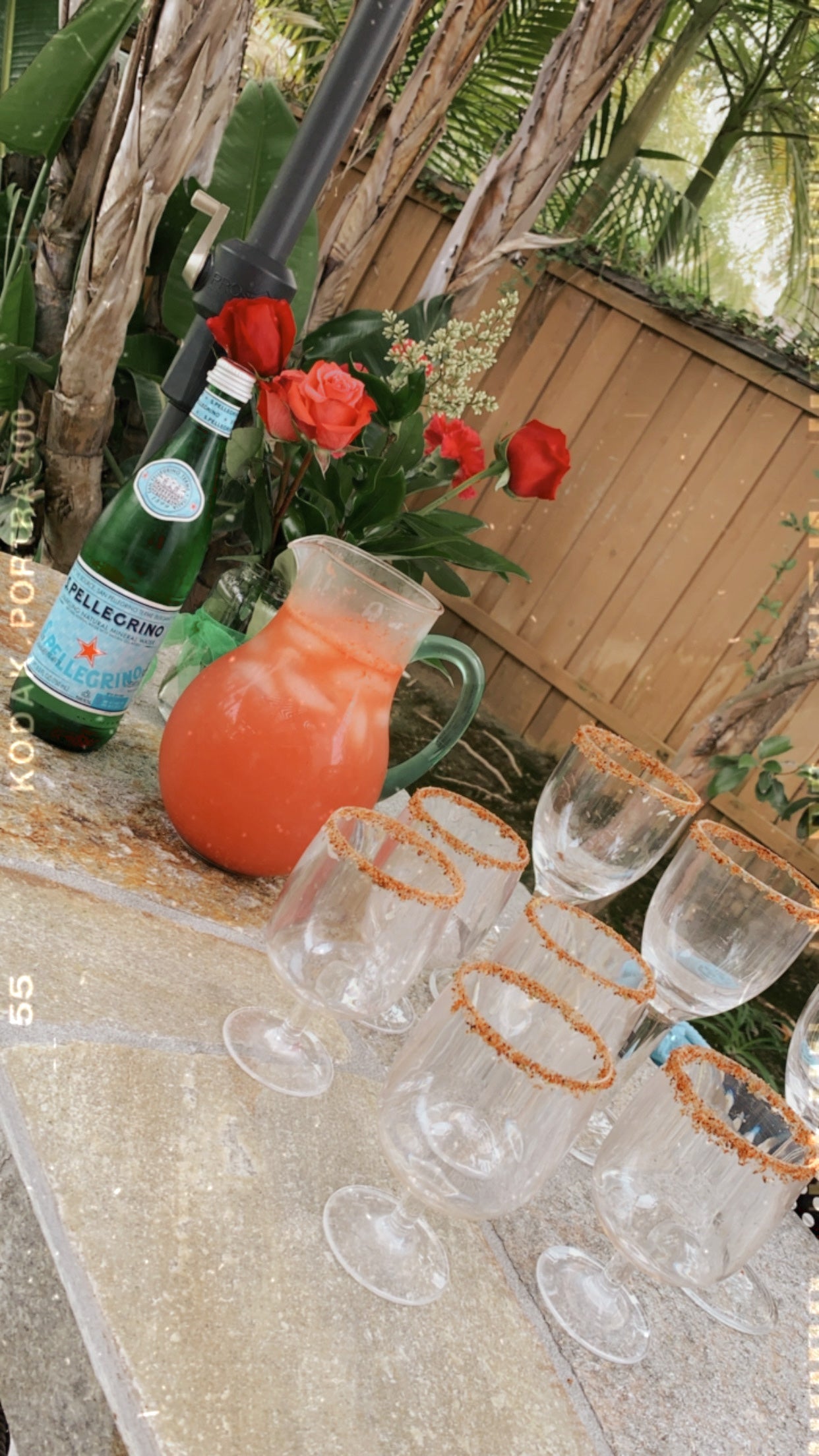 Watermelon Rosè Palomas